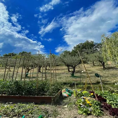 Spoleto Enchantedexc Pool, Gardens Villaaircon 7 Villa *