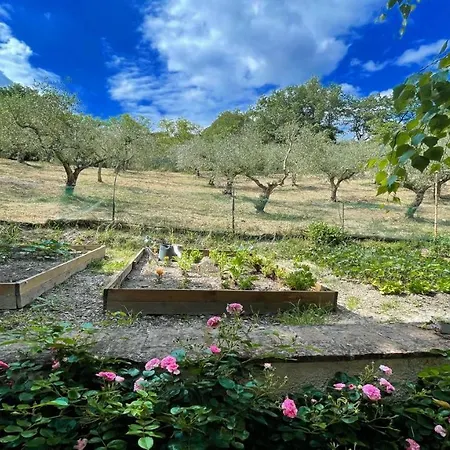 Villa Spoleto Enchantedexc Pool, Gardens Villaaircon 7 *